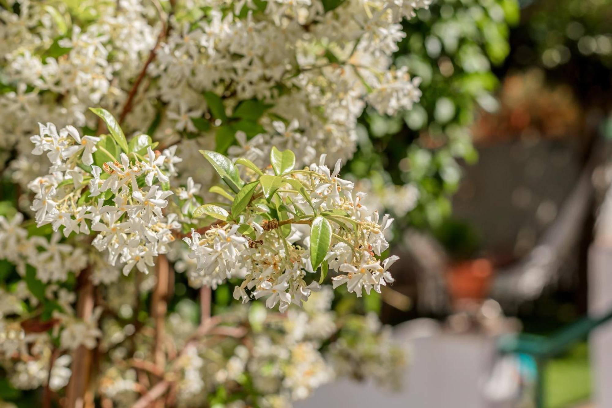 Alges Village Casa 4 By Lisbon-Coast Vacation エクステリア 写真